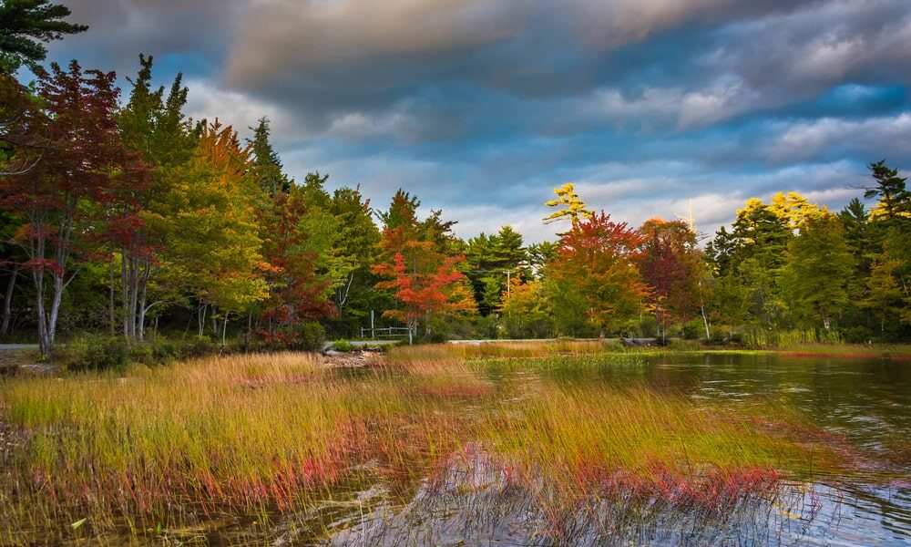 Alfred Maine Divorce & Family Lawyers At The Maine Divorce Group
