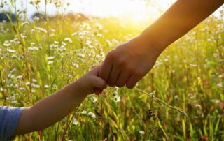 Protection from Harassment Family Lawyers in Maine
