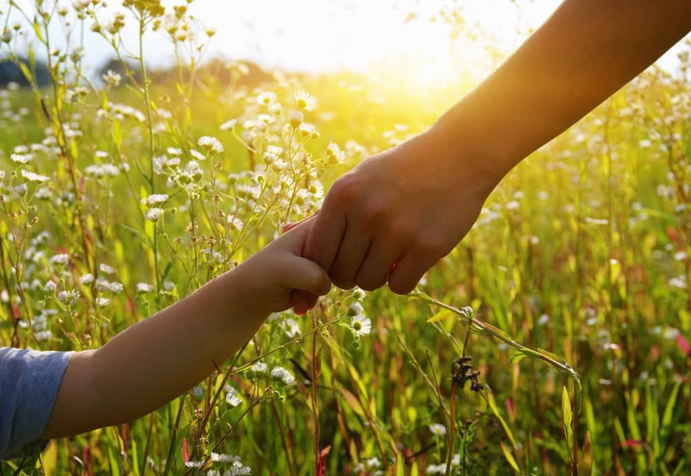 Protection from Harassment Family Lawyers in Maine